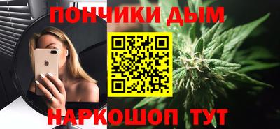 спайс Кингисепп