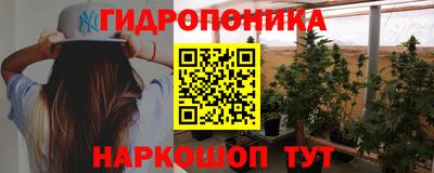 дмт Кимры
