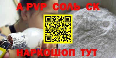 спайс Кингисепп