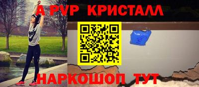 спайс Кингисепп