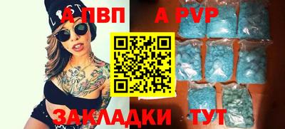 спайс Кингисепп