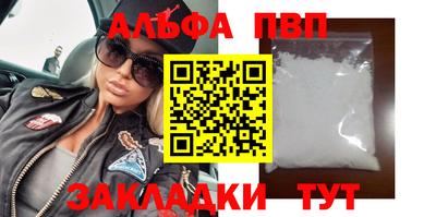 спайс Кингисепп