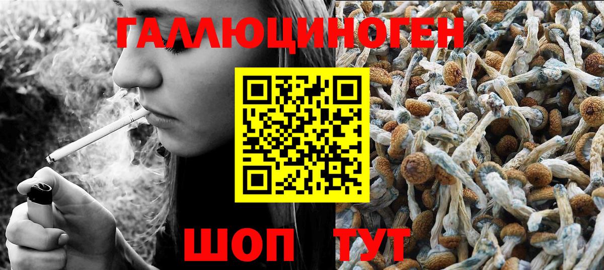 Звенигород  Галлюциногенные грибы прущие грибы  Галлюциногенные грибы MAGIC MUSHROOMS  Вход с VPN 